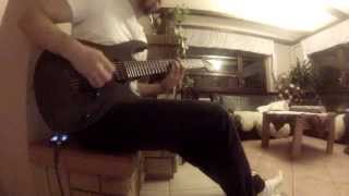 Animals As Leaders - CAFO (full cover by Tomasz Madzia) on Mayones/Flame EXG7