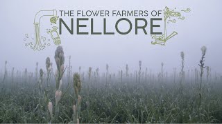 The Flower Farmers of Nellore