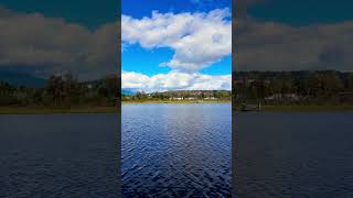 Burnaby Lake Regional Park #burnaby #lake #regional #park #natureshorts #vancouver