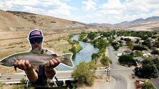 Urban Fly Fishing For Trout