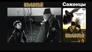 «Саженцы» Лирическая драма 1972 «ნერგები»