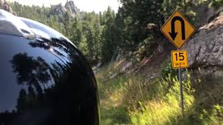 Riding in Custer State Park 2020