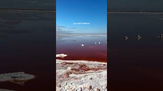 Pink salt pond 💖