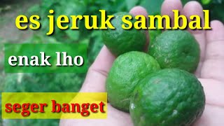 Es jeruk sambal memang enak?