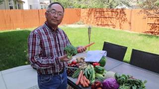 CFVGA Braised Cabbage Recipe Demo