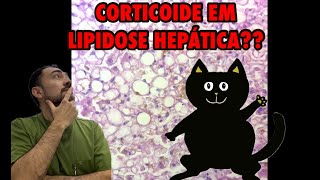 CORTICÓIDE EM LIPIDOSE HEPÁTICA FELINA??