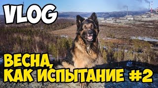 VLOG| Весна, как испытание (часть 2)