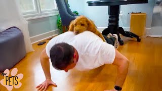 Gym Rats and their Gym Dogs 🐶Cute Dogs Exercising - AFV Pets