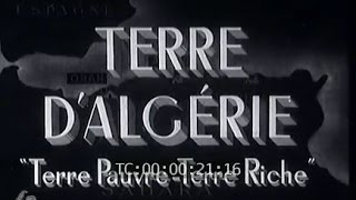 Terre d'Algérie (1951)