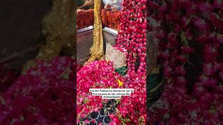 Mira datar dargah Urs stetus|whatsapp qawwali status|2024new qawwali|Famous qawwali|mira data