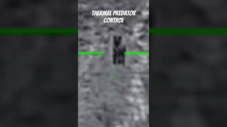 Thermal Coyote Hunting Predator Control #hunting #usa #shorts #predatorhunting