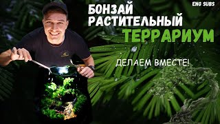 БОНЗАЙ ТЕРРАРИУМ. ДЕЛАЕМ ВМЕСТЕ! | BONSAI TREE TERRARIUM. TUTORIAL