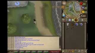 Runescape Money Making Guide F2p 300-500k Per Hour