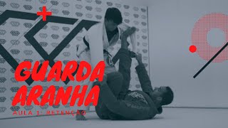 Conceitos da guarda-aranha: retenção de guarda - AULA 1