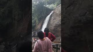 suchipara waterfall wayanad #music #travel #nature #waterfall #love