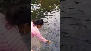 Wada येथील देव मासे 😲🐬