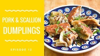 Chinese Dumpling Recipe- How to Make Pork and Scallion Dumplings