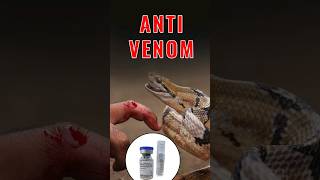 Antivenom Medicine for Snake Bite | Poisonous Animals #antivenom #snake #scorpions