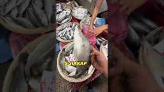 Tujuh jenis ikan yang orang pantang bersalin boleh makan