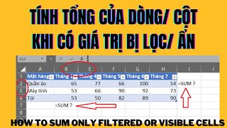 Subtotal - Tính tổng của dòng/ cột khi bị ẩn/ lọc - SUM if rows/ columns are hidden/ filtered