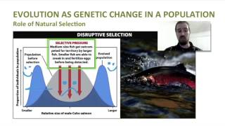 Biology 09-3 Evolution as Genetic Change