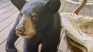 Bear Ruby and Crew — Home Inspectors