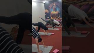 Yoga #yoga #trending #new #challenge #viral #art #workout #acrobatics #acro #trendingshorts #song