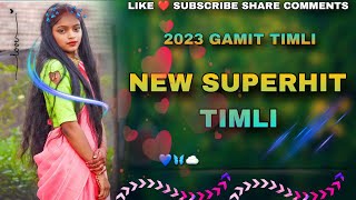 NEW SUPERHIT🎵 TIMLI SONG || 2023 Gamit DJ TIMLI || AADIVASI RAMTUDI 🎼🎶