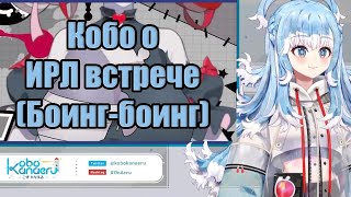 【Kobo Kanaeru】Серьёзный разговор о Боингах