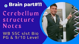 Structure of Cerebellum// লঘু মস্তিষ্কের গঠন// Handwritten Notes// WBSSC Biology