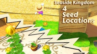 Seaside Kingdom - 4 Seed Locations - Super Mario Odyssey