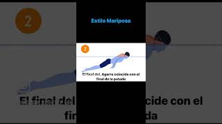 Estilo Mariposa 2 Patadas por Brazada | Natación Eficiente