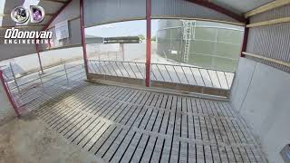 Parlour Exit Race, Calving & Calf Shed 2021