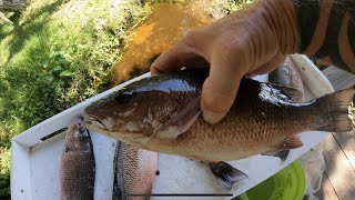 CHUMMING FOR SNAPPER IN SEBASTIAN INLET