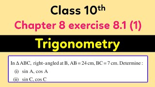 Chapter 8 Exercise 8.1 Question no 1 || Trigonometry Question Solution step by step | Class 10th