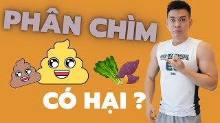 KIỂM TRA PHÂN CỦA BẠN CÓ TỐT KHÔNG? TIPS ĂN GIÚP ĐƯỜNG RUỘT KHOẺ MẠNH