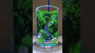 This guy creates an amazing mini terrarium ❤️ #shorts