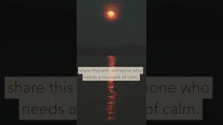 Do You Need A Moment Of Calm ? #newmusic #ocean #calmmusic #relaxing #shorts #shortsfeed #short