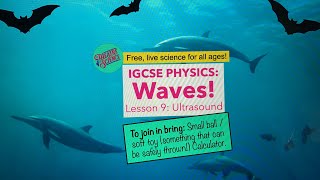 IGCSE Physics: Waves 9: Ultrasound!