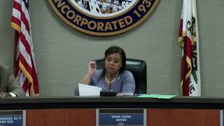 Council Meeting - June 11, 2024