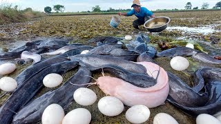 Best hand fishing,  A fisherman catch a lot of fish 🐟 by hand , Fishing on the road