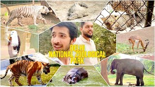 Delhi Zoo in 2023 | Vlog Trailer | Wild Animals