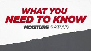 USG Sheetrock® Brand Mold Tough® Explainer