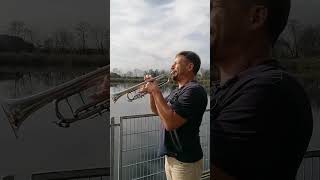 Moon River - Trumpet Solo