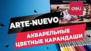 Карандаши цветные акварельные Arte Nuevo DELI