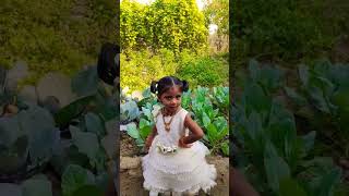 ma gallila oka poradu #shortvideo #folksong