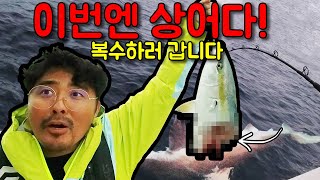 초대형 상어의 출현. 대한민국 바다를 위협하다.