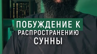 Один из доводов сохранности Сунны