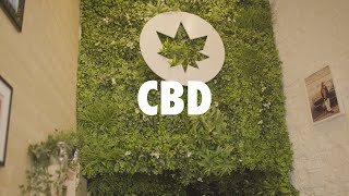 CBD