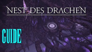 ⚔️ Nest des Drachen 🏹 Tank-POV // Heavensward - Dungeon Guide // Neulings Guide FFXIV